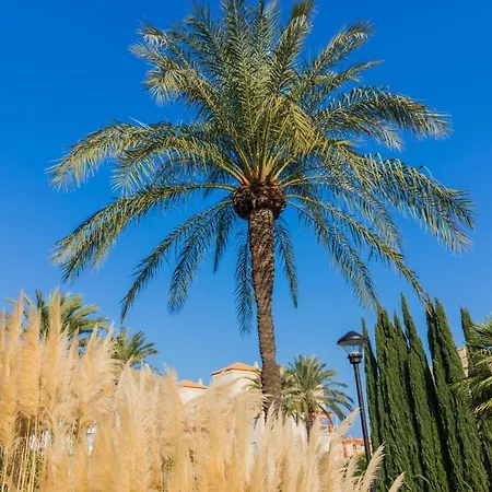 아파트 Cala Blanca Beach Studio 데니아